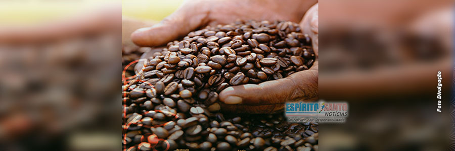 Ufes é a instituição que mais publica artigos científicos sobre café Conilon